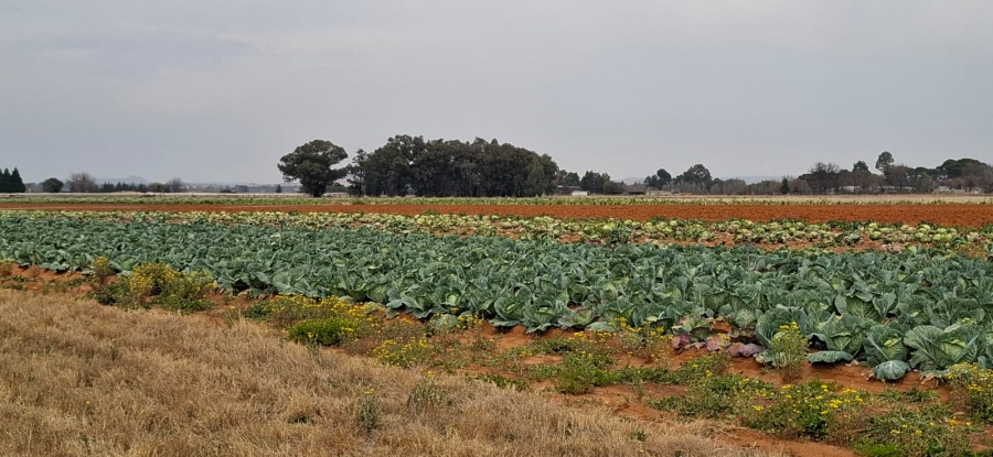 Commercial Property for Sale in Bainsvlei Free State